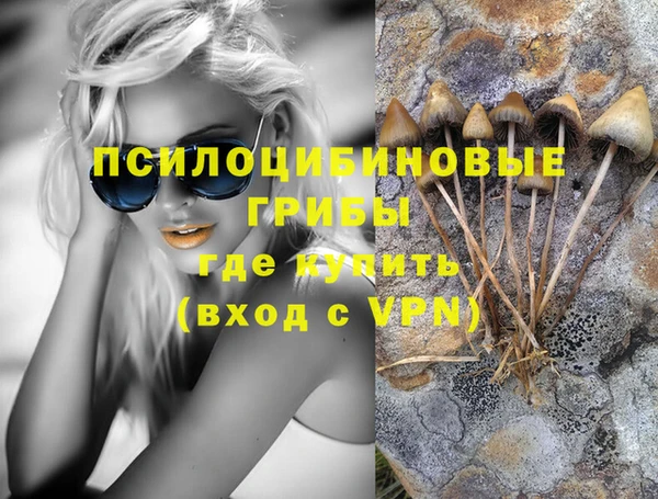 ешки Абаза