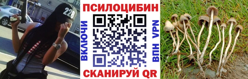 дарнет шоп  Кандалакша  Галлюциногенные грибы мухоморы 