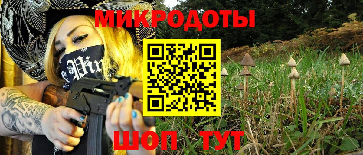 Кандалакша  Псилоцибиновые грибы Psilocybe  где купить наркоту  Вход с VPN 